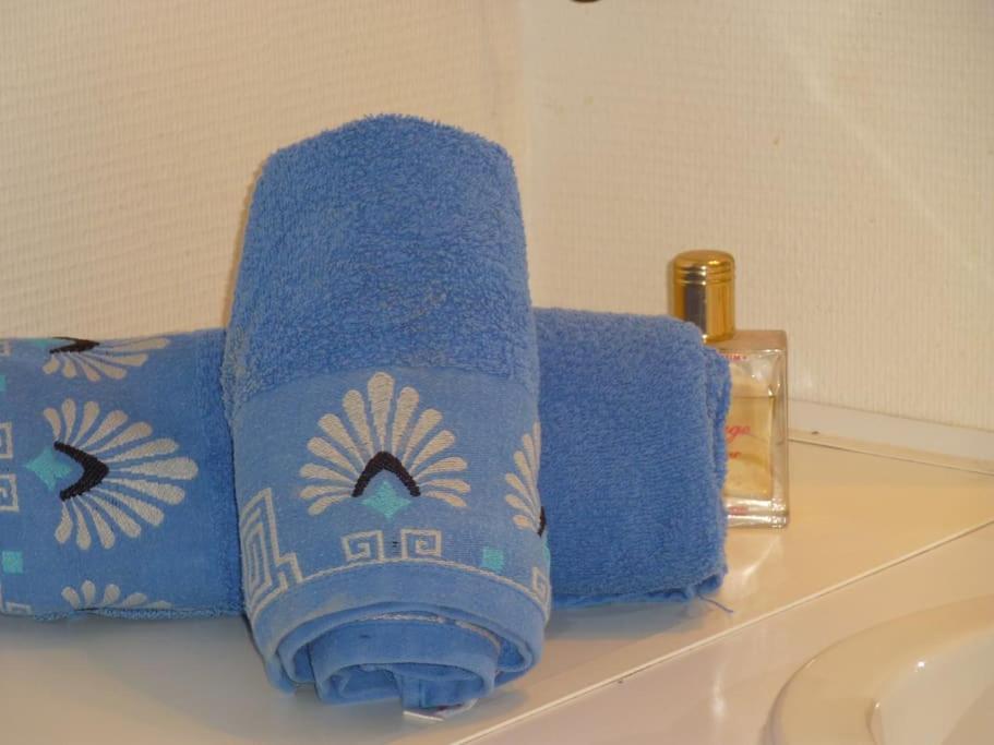 Chambre Chez L'Habitant - Proche Du Centre - Salle D'Eau Et Wc Prives Bordeaux Bagian luar foto